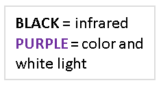 BLACK = infrared PURPLE = color and white light